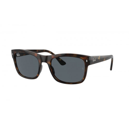 Ray-Ban 4428 SOLE