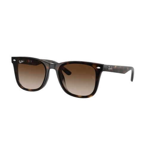 Ray-Ban 4420 SOLE