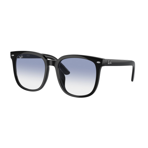 Ray-Ban 4401D SOLE