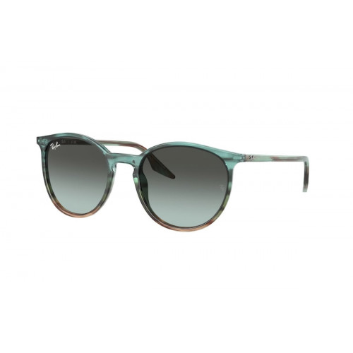 Ray-Ban 2204 SOLE